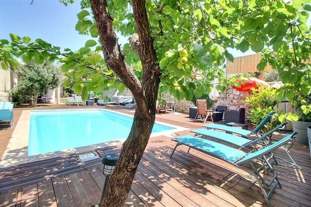 Villa 3 Logements Entiers Avec Piscine Et Jaccuzi Et Parking